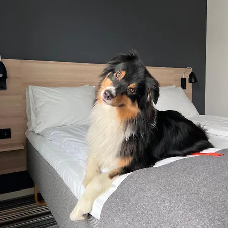 奥斯陆城市之盒酒店 3*