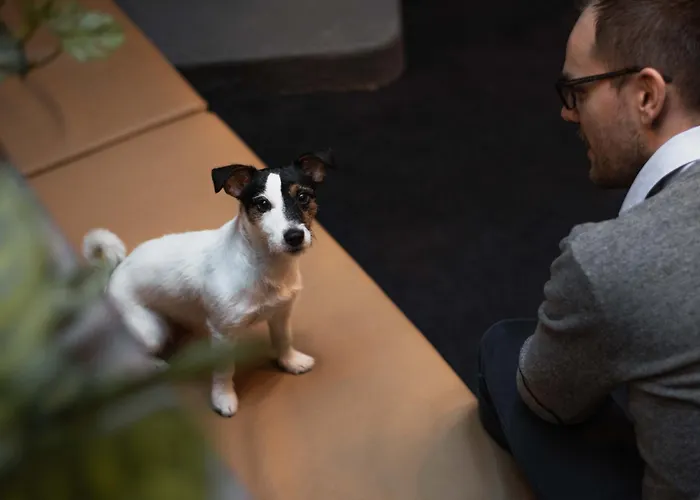 Ξενοδοχείο Citybox 3*