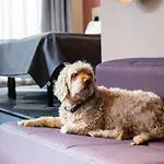 Hotel Citybox